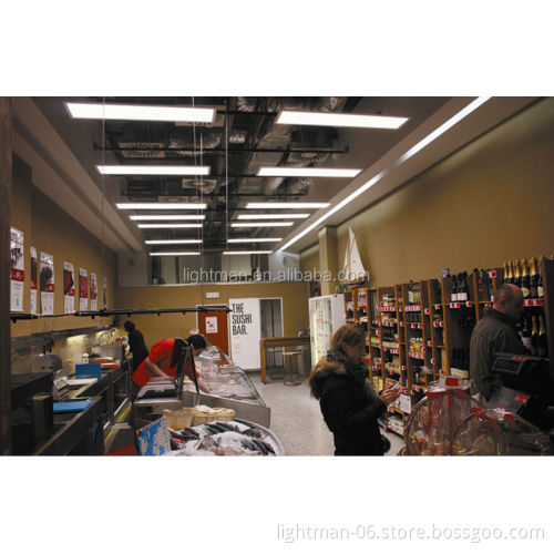 Hanging LED Flat Panel Lamp 40W 30x120